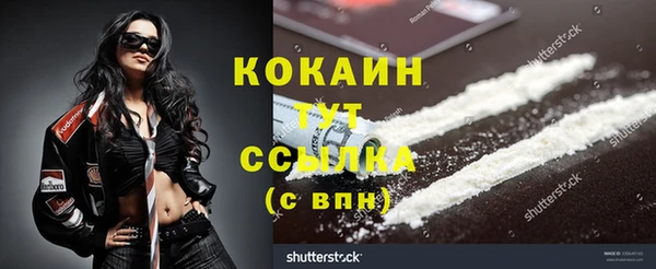 ешки Каменногорск