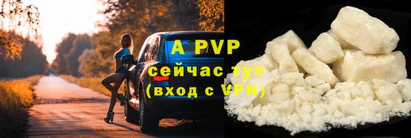 ешки Каменногорск