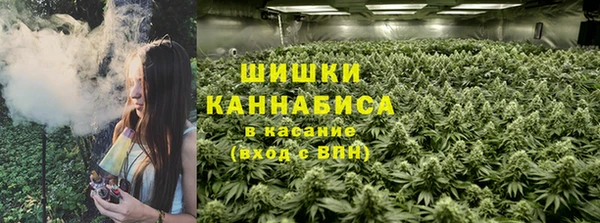 метадон Инта
