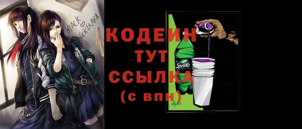 стаф Каменка