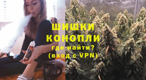 индика Волосово