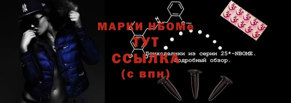 шишки Инсар
