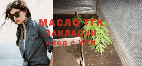 шишки Инсар