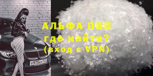 шишки Инсар
