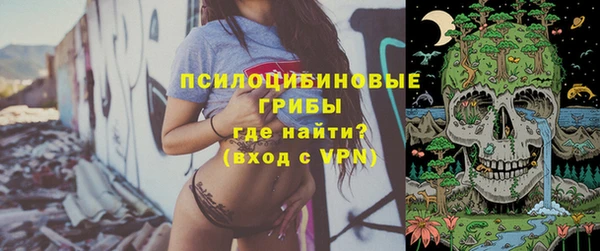 стаф Каменка