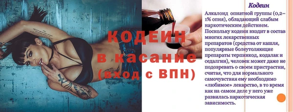 шишки Инсар