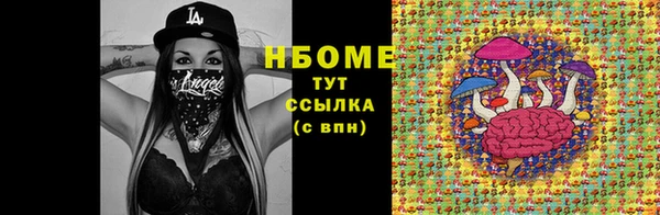 стаф Каменка