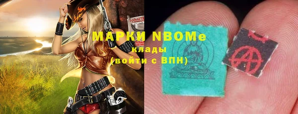 шишки Инсар