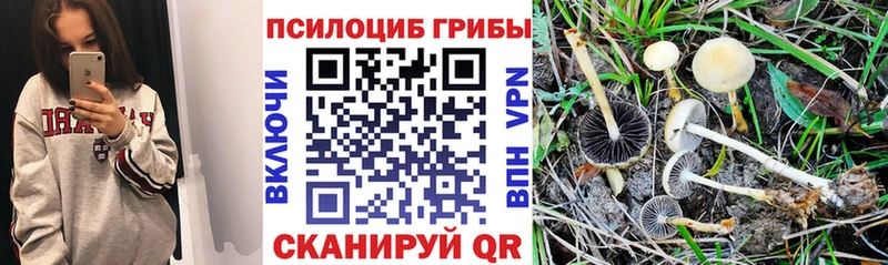 Галлюциногенные грибы мухоморы  Богородск 